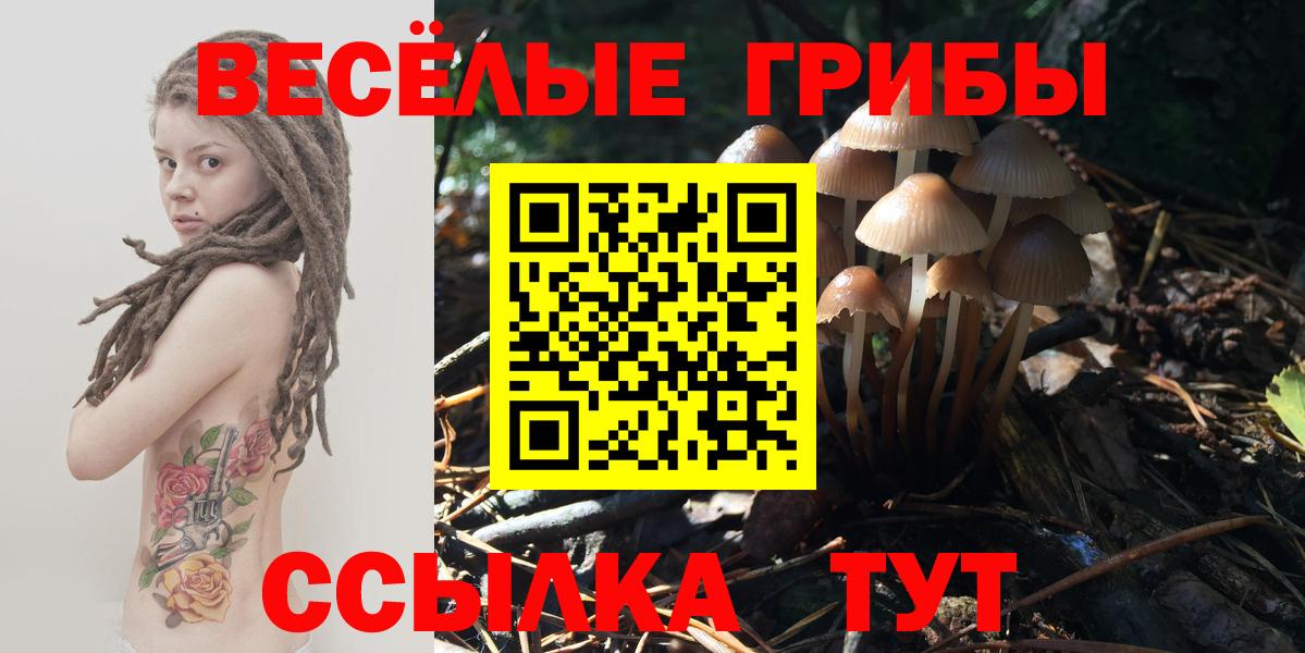 Галлюциногенные грибы GOLDEN TEACHER Рассказово